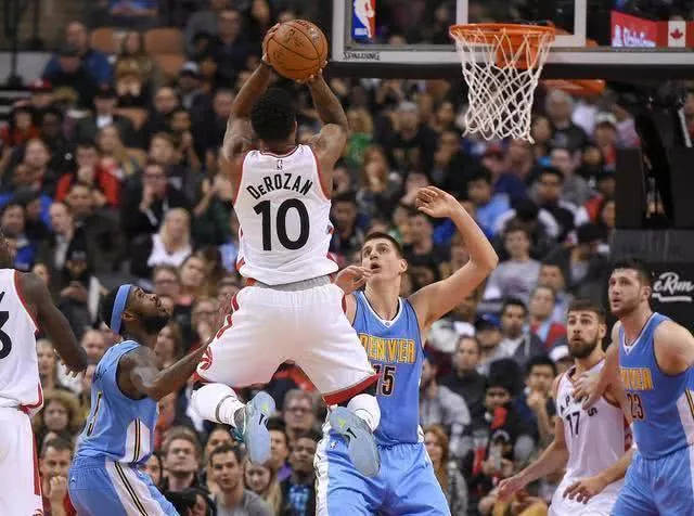 新的生活环 新的生活环