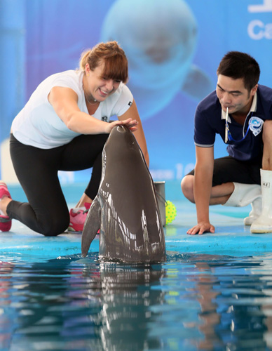 尤其是在对 尤其是在对